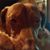 John Day's profile image