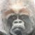 Lyndel Colglazier's profile image