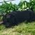 Joyce Robey's profile image