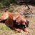 Kaurie Debra Lea Jones's profile image