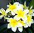 Cindy Buckley's profile image