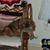 Theresa A. Spitler Eberly's profile image