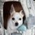 Scott Cogswell's profile image