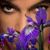 Jocelyn Jones's profile image