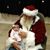 Glenda Iler Busscher's profile image
