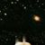 Felicia BelairRigdon's profile image