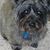 Kelly Wahlgren's profile image