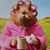 Jill Kronenberger's profile image