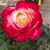 Beth Brown's profile image