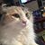 Jessica Raefsky's profile image
