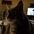 Annette Goldberg's profile image