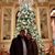 Michelle Petrasek Shelley's profile image