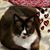 Marie Brinko's profile image