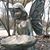 Catherine Van Horne's profile image