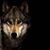 Jeff Kussard's profile image