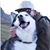 Shannon Pittman's profile image