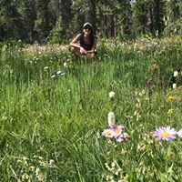 Romy Shane's profile image