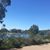 Susan Ginkel's profile image