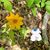 Pamela Manning's profile image