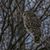 Sherol Stotler Bose's profile image