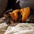 Whitney Phillips's profile image