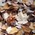 Sherry Overby's profile image