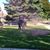 Shawn Glasel's profile image