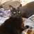 Michelle Enstrom-McFeely's profile image