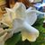 Teresa Bennett Shirley's profile image