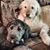 Peg MacDougall's profile image