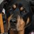 Joann Nichols's profile image