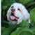 Susan Carlson's profile image