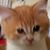 Chris Brack's profile image