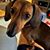Ronald Vandenack's profile image