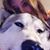 Nancy Gallimore's profile image