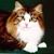 Kathy Crawford's profile image