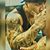Sonny Mamea's profile image