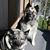 Marylin Gottschall's profile image