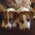 Bonnie Coty McKenzie's profile image