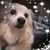Conni Smith's profile image
