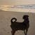 Randy Green's profile image