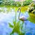 Cindy Brennan Steele's profile image