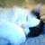 Kaye Allen's profile image