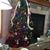 Kelly Fitzgerald Heilman's profile image