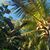 Renate Dybata Tritt's profile image