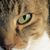Wendy Rundel's profile image