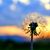 Lynn Mwansa's profile image