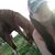 Angel Garr's profile image