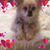Deborah Clark's profile image