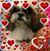 David Freeman's profile image
